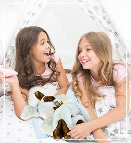 DolliBu Plush Dog Bed Soft Huggable Laid-back Educational