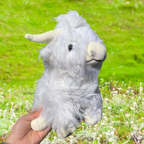 Spotlight on Fluffy Cows