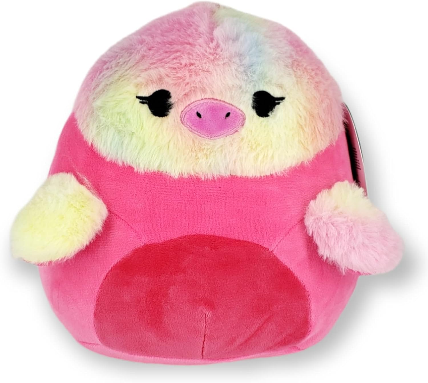 8-Inch Sized Perfect for Kids Adults Alike