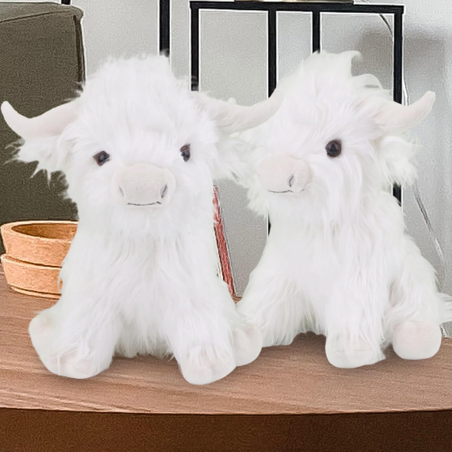 Spotlight on Fluffy Cows