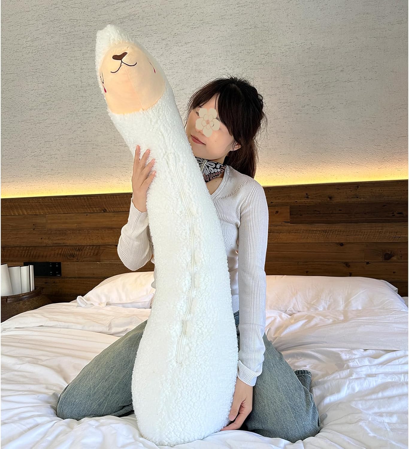 Hofun4U Alpaca Plush Pillow